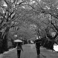 距離。