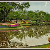 春の昭和記念公園