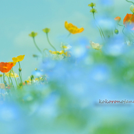natural・・・。