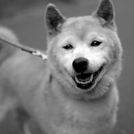 思わずニッコリ