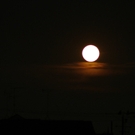IMGP3843