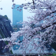 ああ大坂城