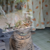 つまんない