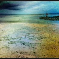 The Old Man and the Sea