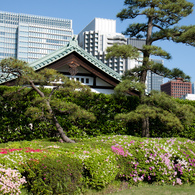 向こうは高層ビル群