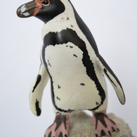 D800Eの解像度②