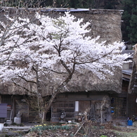 茅葺民家の玄関先