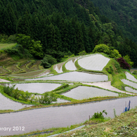 IMGP7453-2