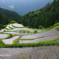 IMGP7461-2