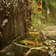 湧出
