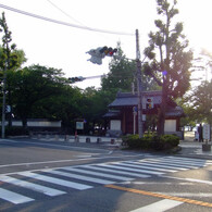 朝　膳所城址公園