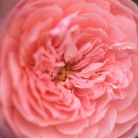 img030