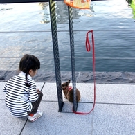 ほしいなぁ…