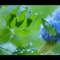 はじまりは、いつも雨。。。