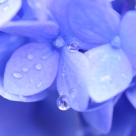 水色の雨