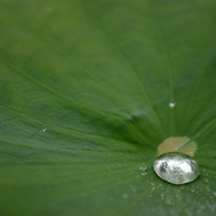 霧雨も集まれば