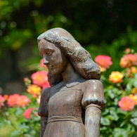 アンネのバラ（アンネのバラの教会） Rose of Anne Frank at 