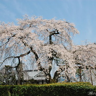 日本の美しい原風景　Beautiful scenery of Japan