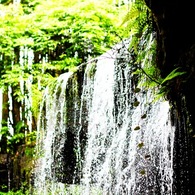 【裏から見える滝】鍋ヶ滝【熊本】