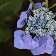 2012.6.24　熊谷市　能護寺