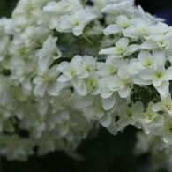 2012.6.24 熊谷市　能護寺