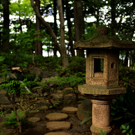 深く…（国分寺その４）