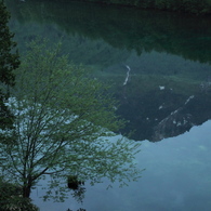 目覚めの水面