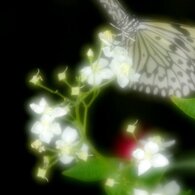 花回廊