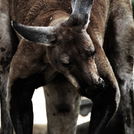 photo_1936444