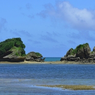 孤島。