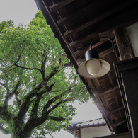 日限地蔵４
