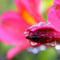 IMG_7790