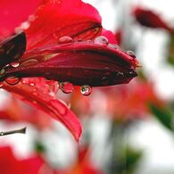 IMG_7839b