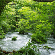 20120713-IMGP2421