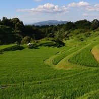 梅雨明け