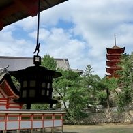厳島八景　鏡の池
