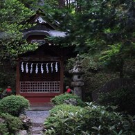 S_DSCF4377