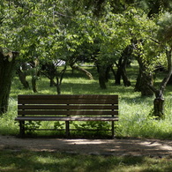 useing@