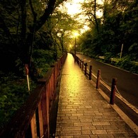 雨のち曇り・・ときどき晴れ