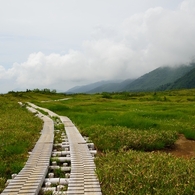弥陀ヶ原の木道
