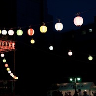reDSC_1411