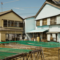 日間賀島#10
