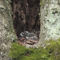 幸せそうな チビズクたち♪