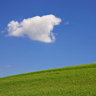 はぐれ雲に願いを込めて・・・