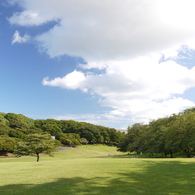 真夏の公園にて
