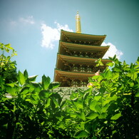 高く聳え立つ