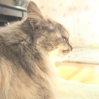 日向ぼっこ