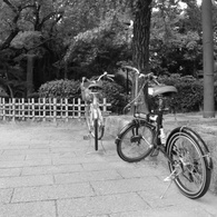 公園_5