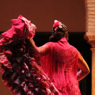 Bailaora 5
