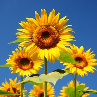 2012.08.04-10,04,52-DSC_0301